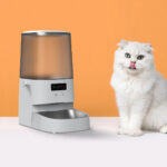 Alimentador Automático para Gatos