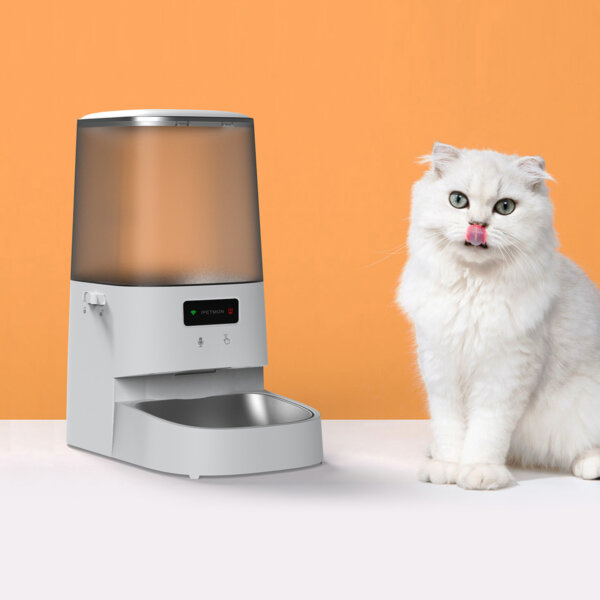 Alimentador Automático para Gatos