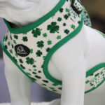 Shamrocks Adjustable Dog Harness