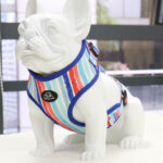 LV20 Watercolor Stripes Adjustable Dog Harness