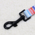 Watercolor Stripes Dog leash