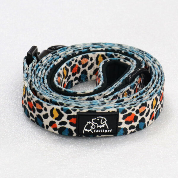 Laisse robuste pour chien Declan