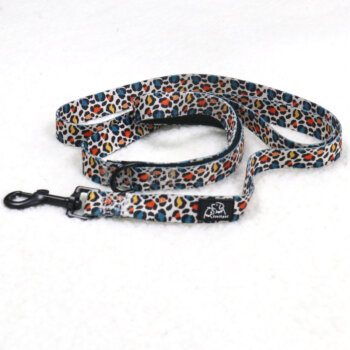 Correa para perros Declan