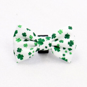Shamrocks Hundefliege