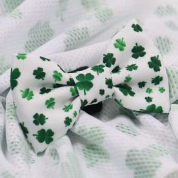 Shamrocks Hundefliege