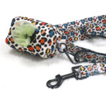 Laisse pour chien Declan