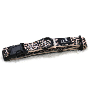 Collier pour chien léopard