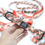 orange dog collar