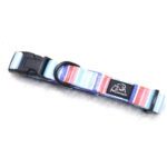 custom dog collars