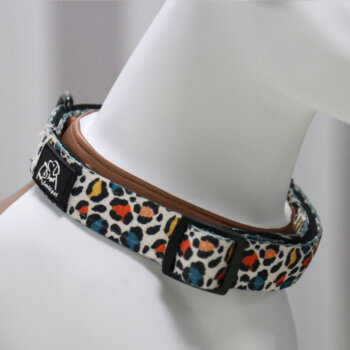 Collier pour chien Declan
