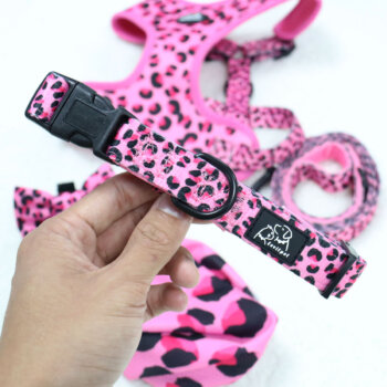 Bianca Hundehalsband