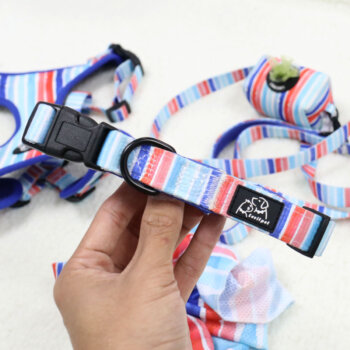 Hundehalsband mit Aquarellstreifen