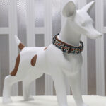 Collier pour chien Declan