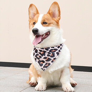 bandanas pour chiens les mieux notés