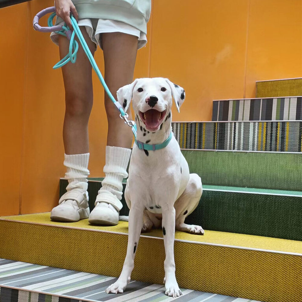 犬用ハーネスデザイナー