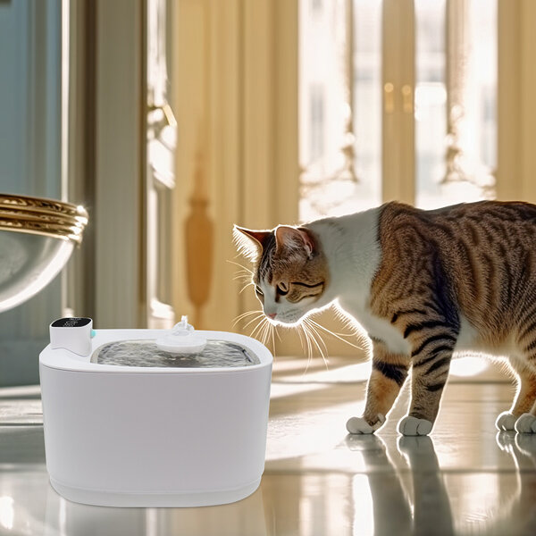 fonte de água para gatos da paiqipet