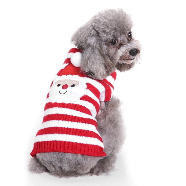 christmas clothes for dog