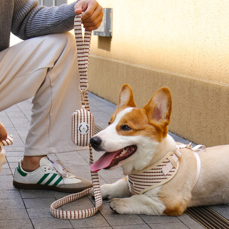 conjunto de arreios e guia para cães da paiqipet