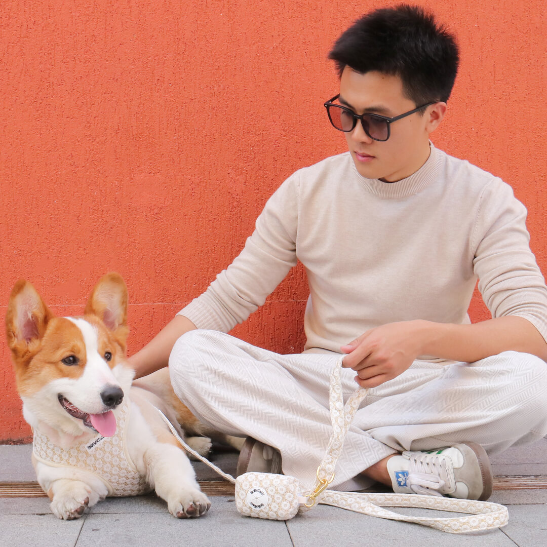 犬に最適なハーネスの種類