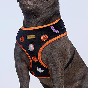 arneses de halloween para bulldog francés