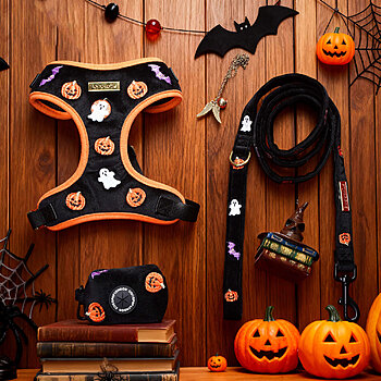 مجموعة أحزمة الكلاب في الهالوين