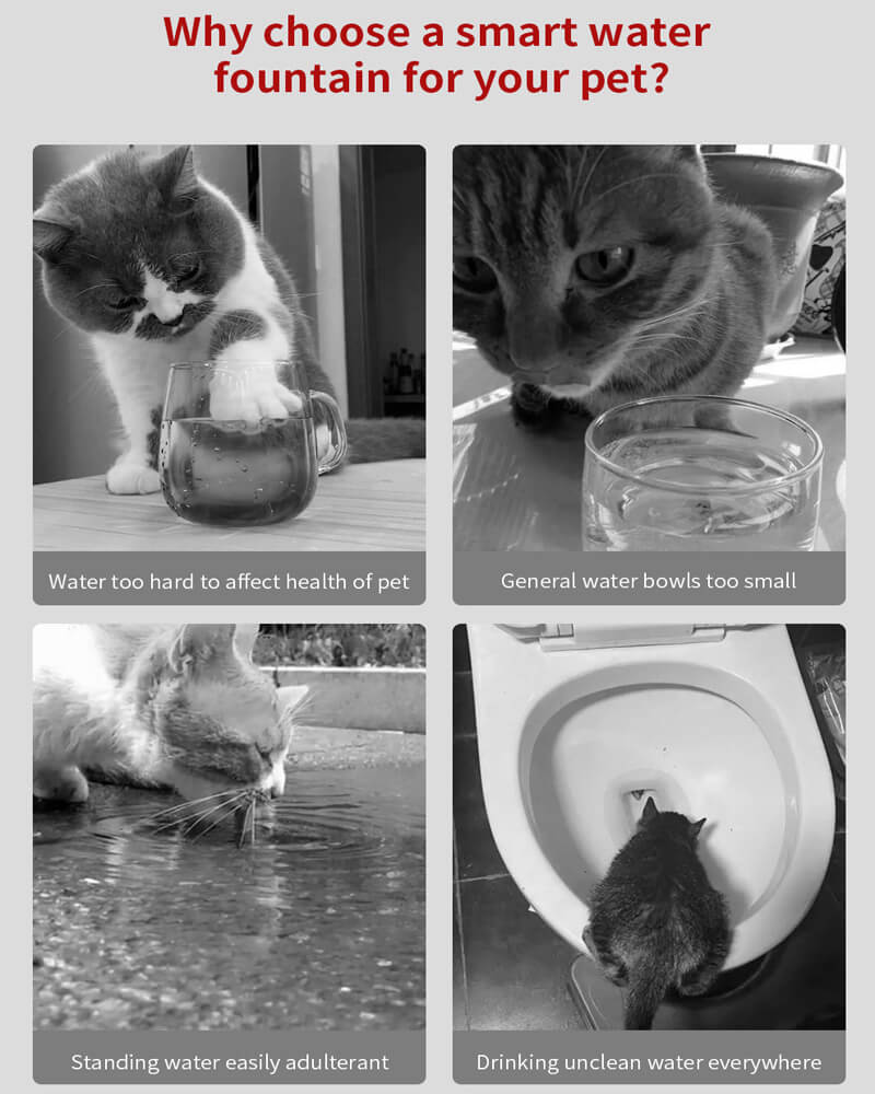 Why need a smart water fountain