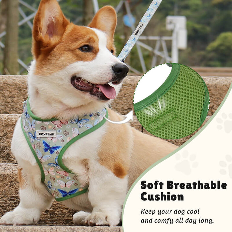 harnais respirant pour chien
