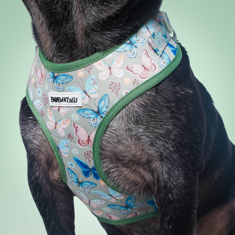 Harnais papillon pour chiens