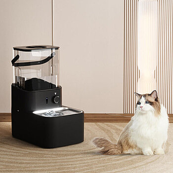 fontaine à eau pour chats
