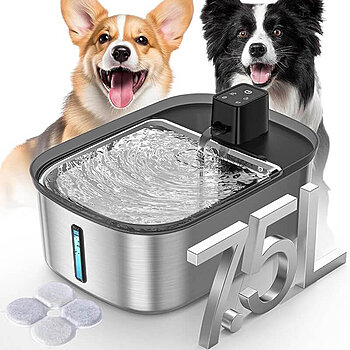 fontaine à eau pour grands chiens