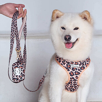 Arnés y correa para perros con estampado de leopardo de Paiqipet
