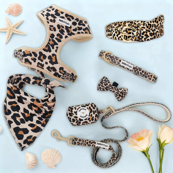 Arnés para perros con estampado de leopardo de Paiqipet