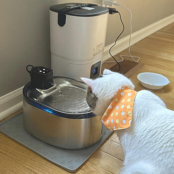 Fontaine à eau sans fil pour chats