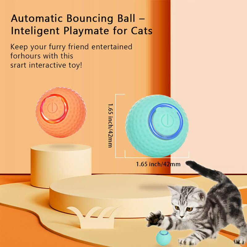 猫がボールで遊ぶ
