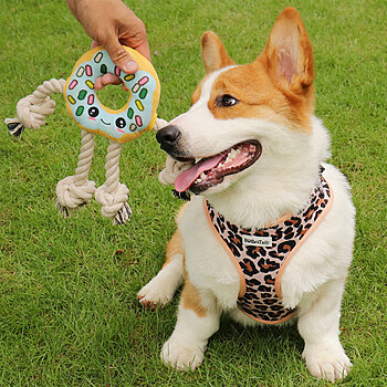 juguete para perros en forma de donut