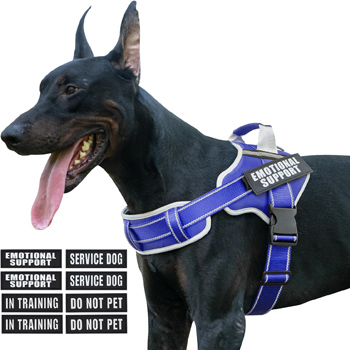 感情支援犬用ハーネス