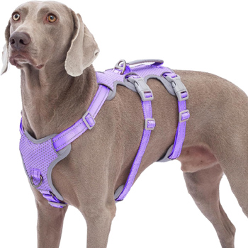 脱走防止犬用ハーネス
