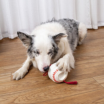 robustes Baseball-Hundespielzeug