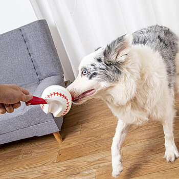 interaktives Baseball-Hundespielzeug