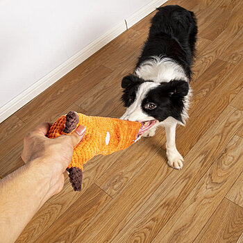 interactive fox dog toy