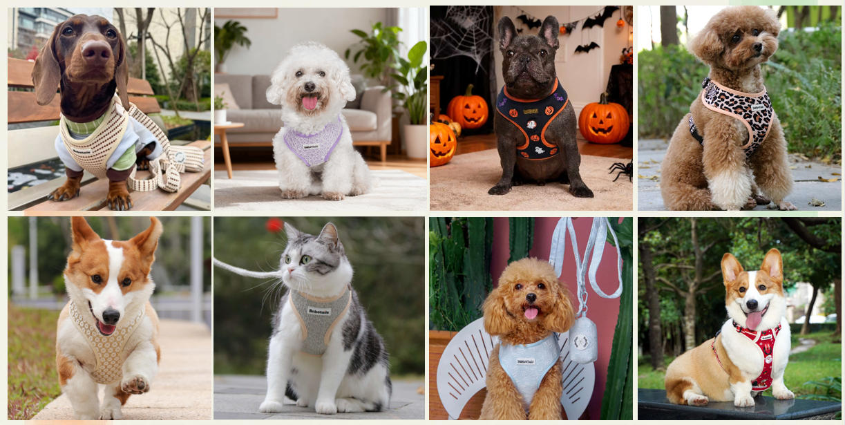 パイキペット高級犬用ハーネス展示