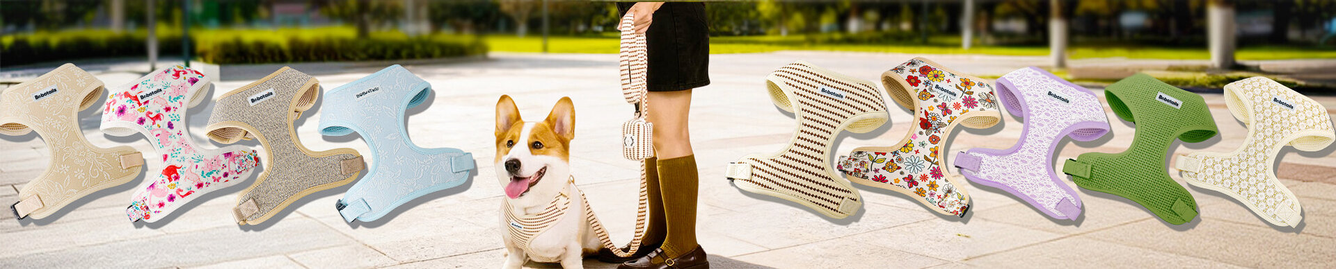 Paiqipet カスタム犬用ハーネスメーカー