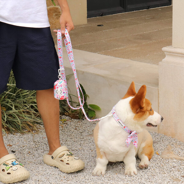 dinosaur dog leash
