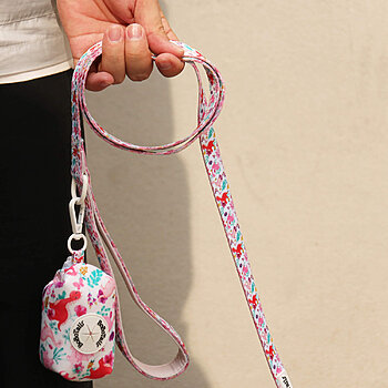 durable nylon dog leash