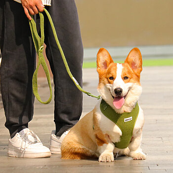knitted fabric dog leash