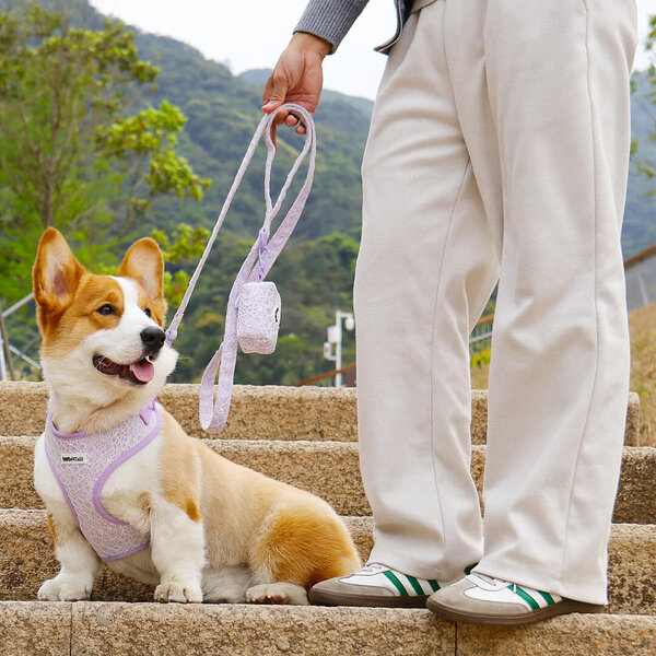 lavender lace dog leash