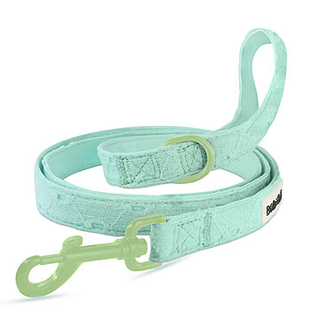 mint green dog leash