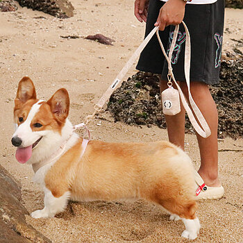morning glory nude dog leash
