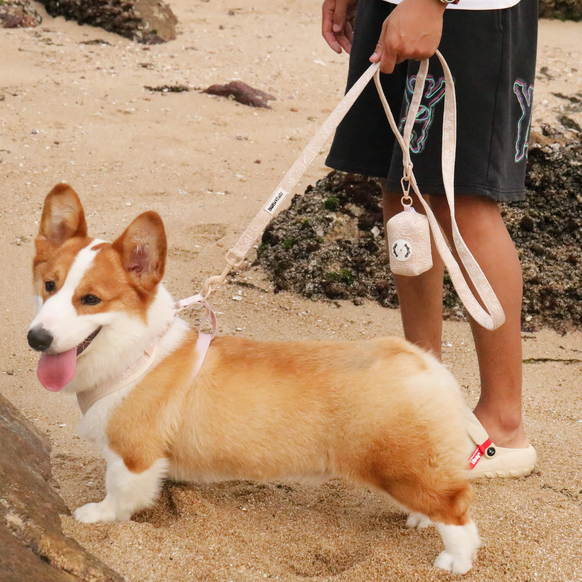 morning glory nude dog leash