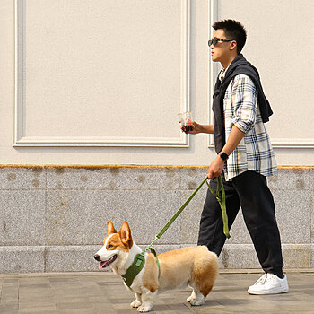 plush knitted leash